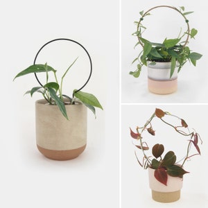 Modern & minimalist circle trellis, 3 sizes available | House plant hoop support in steel, black or raw jute