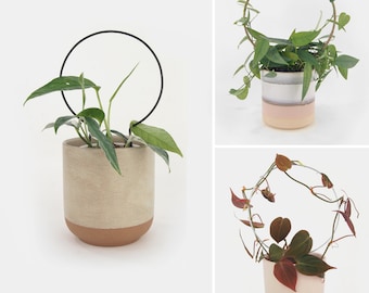 Minimalist Circle Plant Trellis, Steel or Jute, Houseplant Support