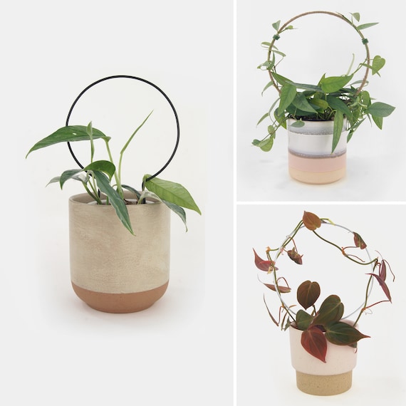 5 Pièces Support Plante Grimpante Tuteur Plante Grimpante Intérieur  Grimpantes d'Intérieur Support Métallique pour Plantes Grimpantes Convient  Aux Plantes en Pot Et Aux Vignes et Fleurs : : Jardin