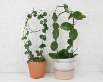 Modern & minimalist tall circle trellis in steel or black | Geometric indoor houseplant hoop support, Plant gift ideas