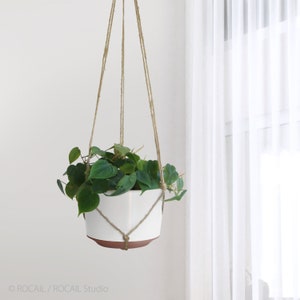 May include: A white ceramic hanging planter with a brown terracotta base, filled with a green leafy plant, hanging from a natural jute rope.