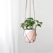 see more listings in the Planters & Hangers section