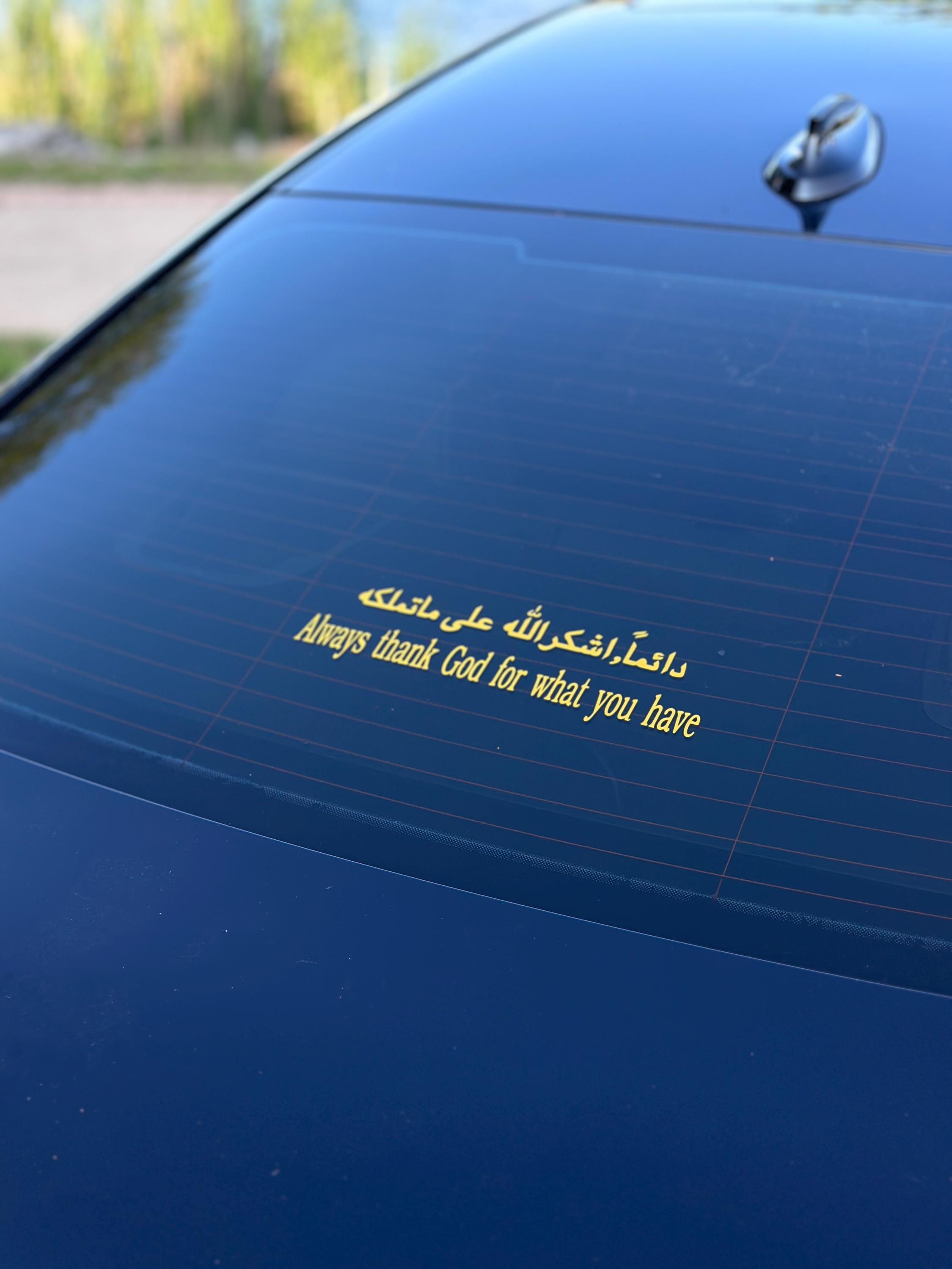 【SiM】【ステッカー!!】 THANK GOD, THERE ARE HUND Lord I have ZYN'd Sticker – squadorbust