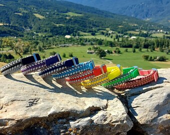 Paracord and biothane dog collar