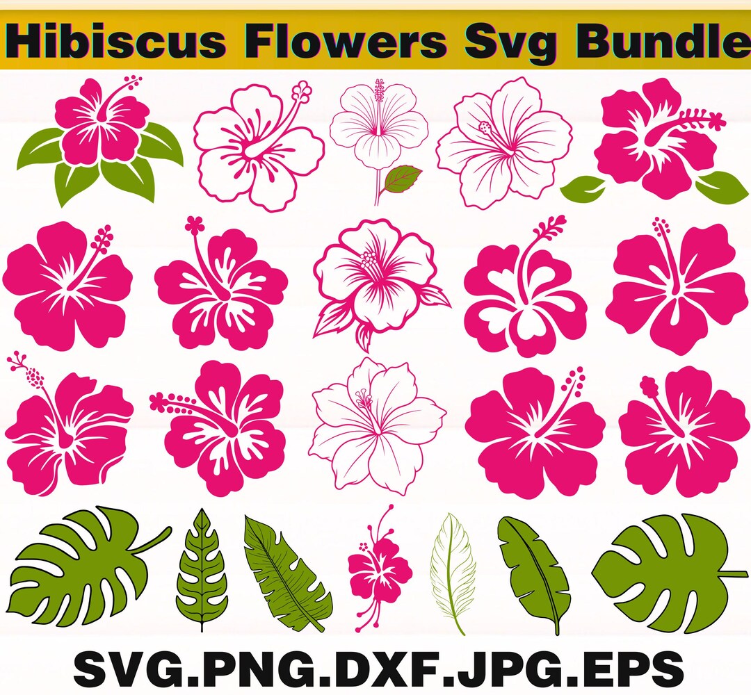 Hibiscus Flowers SVG Bundle, Tropical Floral Clipart SVG, Hawaiian ...