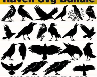 Paquete SVG de cuervo, archivos de corte SVG de cuervo, clipart de cuervo, silueta de cuervo, SVG de pájaro gótico oscuro, cuervo de Halloween, SVG de brujería, descarga instantánea