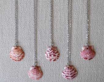 Florida Scallop Shell Necklace (Small) - Silver Filled