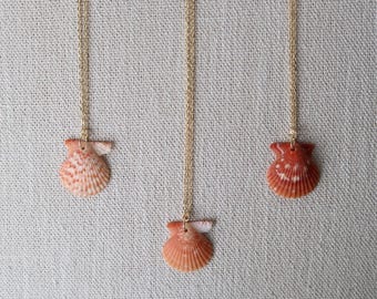 Orange Florida Scallop Shell Necklace - 18k Gold Filled