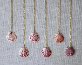 Florida Scallop Shell Necklace (Medium) - 18k Gold Filled