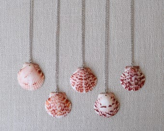 Florida Scallop Shell Necklace (Large) - Silver Filled