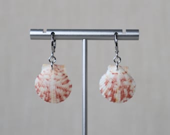 Florida Shell Earrings - Silver Filled