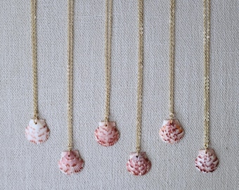 Florida Scallop Shell Necklace (Small) - 18k Gold Filled