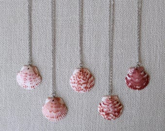 Florida Scallop Shell Necklace (Medium) - Silver Filled