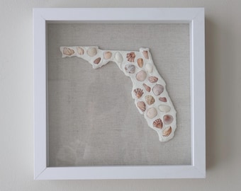 Florida Seashell Coastal Wall Art - 9x9
