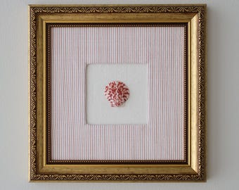 Florida Seashell Coastal Wall Art - 8x8 Vintage Inspired Gold Frame, Pink Stripe, Calico Scallop