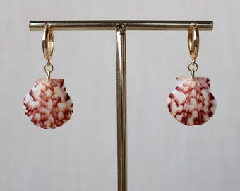 Florida Scallop Shell Earrings - 18K Gold Filled