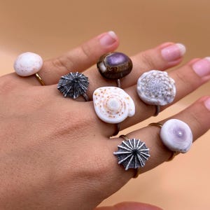 Puede incluir: Una colección de anillos hechos a mano con varias conchas marinas. Los anillos muestran una variedad de colores y texturas, incluyendo blanco, marrón y púrpura. Los anillos están engarzados en bandas doradas y plateadas, ofreciendo un accesorio único inspirado en la playa.