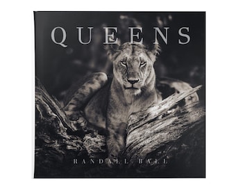 QUEENS - Libro de fotografía artística de vida silvestre / Retratos de leones africanos / por Randall Ball