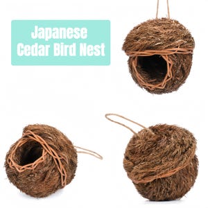 以下が含まれることがあります： 日本の杉の鳥の巣のコレクション。巣は球形で、織り込まれたオープンフェイスのデザインです。巣は茶色の杉でできており、より明るい茶色の素材で織られています。各巣には吊り下げループが付いています。