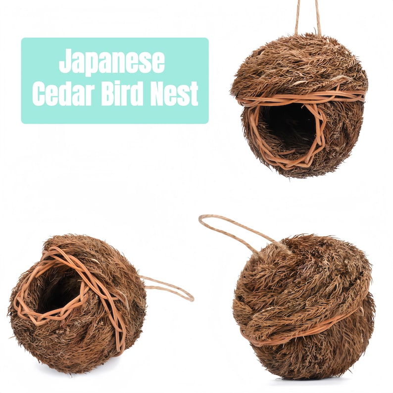 以下が含まれることがあります： 日本の杉の鳥の巣のコレクション。巣は球形で、織り込まれたオープンフェイスのデザインです。巣は茶色の杉でできており、より明るい茶色の素材で織られています。各巣には吊り下げループが付いています。