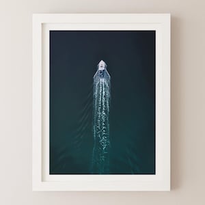 Aerial Boat Print, Martha&#39;s Vineyard, Costal Landscape Photography, Minimalist Wall Art