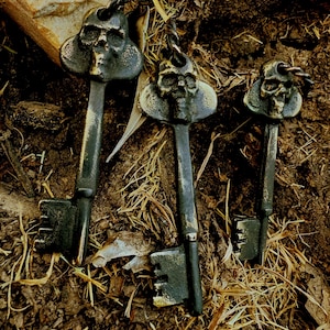Könnte beinhalten: Drei antike Metallschlüssel mit schädelartigen Schlüsselköpfen. Die Schlüssel sind dunkelgrau mit einer strukturierten Oberfläche und liegen auf Erde und trockenem Gras. Die Schlüsselköpfe haben ein detailliertes Schädeldesign.