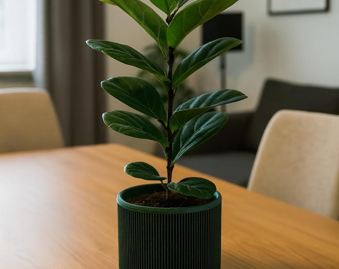 3D-printed flowerpot with saucer – Modern grooved design for stylish plant lovers