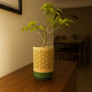 Könnte beinhalten: Eine dekorative Pflanze in einem beige-grünen Topf mit Muster. Der Topf hat ein geometrisches Design und steht auf einer Holzoberfläche. Die Pflanze hat grüne Blätter und Zweige. Der Hintergrund ist ein Raum mit einem Holztisch.