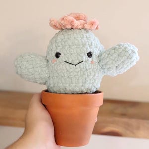 Potted Cactus