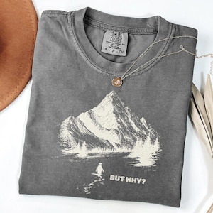 May include: A gray Comfort Colors t-shirt with a mountain graphic and the text "BUT WHY?". The shirt has a crew neck and short sleeves. A silver necklace with a circular pendant is draped across the shirt.