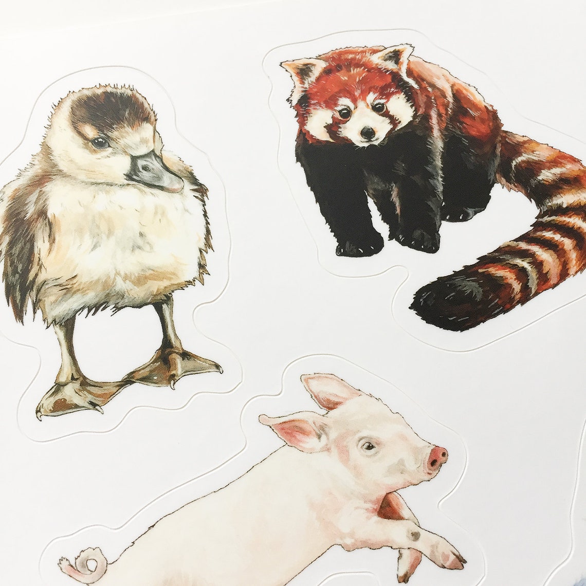Animal Sticker Sheet 2 - Etsy