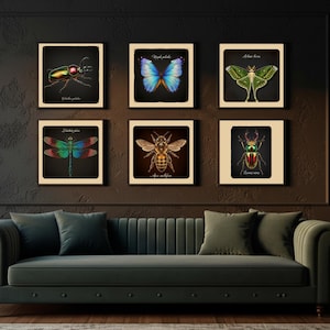 Set of 3 Vintage Insect Posters, Cabinet of Curiosities Wall Art, Butterfly Entomology Decor, Cottagecore Decor, Digital Download