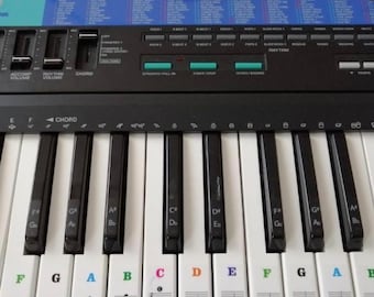 Colorful Piano Keyboard Stickers for Beginners | Removable Note for 88/61/54/49/37 Keys | Easy-to-Read Learning Tool, Multi-Color Key Labels