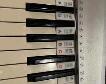 Silicone Piano Keyboard Stickers for Beginners | 88-Key Full Size Note Labels, Removable & Reusable Learning Aid with Storage Box
