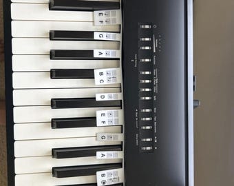 Removable Silicone Piano Key Stickers for 88 Key Keyboard – Reusable Note Labels for Beginners Learning Piano with Box
