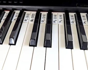 Removable Silicone Piano Keyboard Note Guide for Beginners | 88-Key & 61-Key Easy Learning Music Tool | Reusable Piano Key Label, No Residue