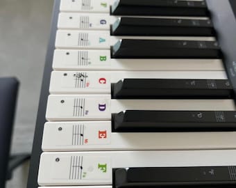 Removable Piano Keyboard Stickers for Beginners – Multicolor Note Labels with Large Letters for 88 61 54 49 37 Keys, Waterproof & Easy Apply