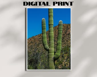 Saguaro Cactus Photography Print – Arizona Desert Wall Art, Digital Download