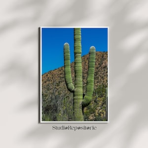 Saguaro Cactus Photography Print – Arizona Desert Wall Art, Digital Download