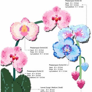 Puede incluir: Un patrón de cuentas perler de orquídea Phalaenopsis con cuatro diseños de flores pixeladas en rosa, blanco y azul, con hojas y brotes verdes. El documento incluye dimensiones de cuadrícula para sépalos, pétalos, labios, hojas y brotes.