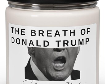 Sojakaars, politiek interieur, cadeau Trump Supporters, grappige kaars, humoristische geurkaars, kaars van 9 oz