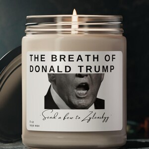 Soy Candle, Political Home Decor, Trump Supporters Gift, Funny Candle, Humorous Scented Candle, 9oz Candle
