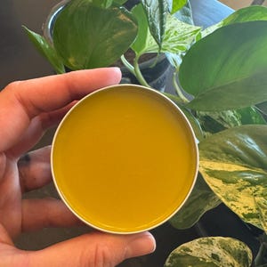 Dandelion Salve