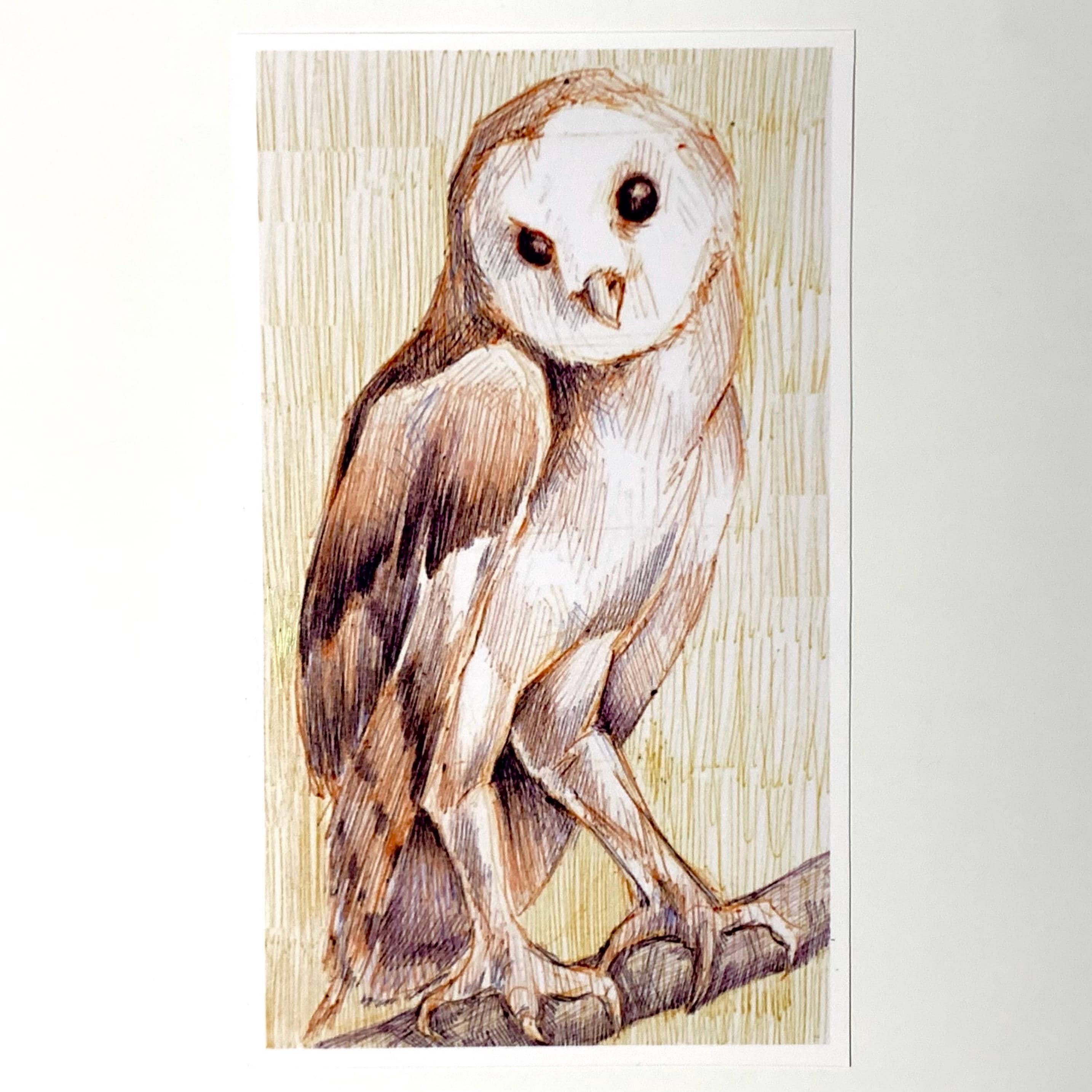 Barn Owl Artwork - Traditional 4x6 Pastel Art Print