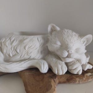 Peut inclure: Un pot de fleurs en forme de chat blanc endormi. Le chat est allongé sur une surface brune et texturée. Le pot a une zone creuse pour les plantes ou les petits objets. Les yeux du chat sont fermés et ses pattes sont repliées sous sa tête.