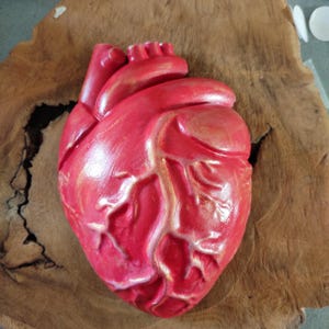 Cuore anatomico da parete in cemento ad alte prestazioni rosso e oro – brillante decorazione dal design artistico – oggetto decorativo di alta qualità