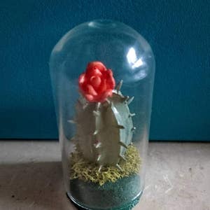 Prickly Pear Cactus. Miniature Bell Jar.  Miniature Cloche.  Miniature Cactus. Fairy Garden Terrarium Miniature