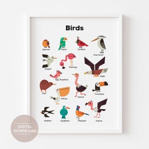 Bird Wall Art, Animals Poster, Educational Printable, Classroom Posters, Montessori Prints, Playroom Bird Decor, DIGITAL DOWNLOAD
