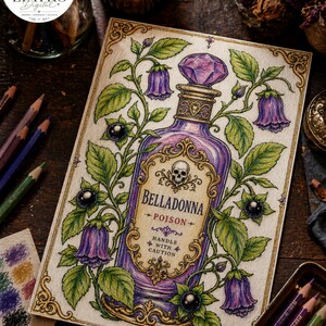 Pode incluir: Ilustra&ccedil;&atilde;o detalhada de uma garrafa de po&ccedil;&atilde;o roxa com o r&oacute;tulo "Belladonna Poison" com uma caveira. A garrafa &eacute; cercada por flores roxas em forma de sino e folhas verdes. A imagem est&aacute; em um fundo creme com l&aacute;pis de cor e uma vela acesa.