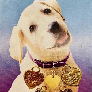 LOVE Heart Copper Dog Tag – Non-Custom Engraved Pet ID Charm